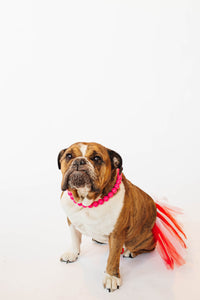 Neon Coral Acrylic Bead Collar