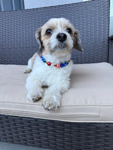 Load image into Gallery viewer, Firecracker MINI [Small Dog/Cat Bead Collar]