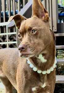 White Confetti Bead Collar