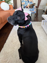 Load image into Gallery viewer, PERSONALIZED Candy Sweetheart Bead Collar