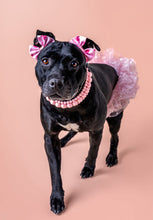 Load image into Gallery viewer, Blush Pink Rain Triplo Acrylic Bead Collar