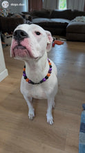 Load image into Gallery viewer, Witchy Bead Collar