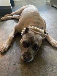 Chunky White Pearls Acrylic Bead Collar