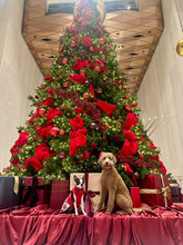 Load image into Gallery viewer, Christmas Glam Bead Collar