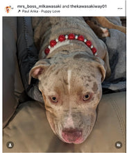 Load image into Gallery viewer, Santa Baby Bead Collar