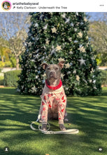 Load image into Gallery viewer, Lunar Red Triplo Acrylic Bead Collar