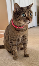 Load image into Gallery viewer, XS Infinity Coral Acrylic [Small Dog/Cat Bead Collar]