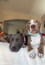 Load image into Gallery viewer, Bluebell Bead Collar