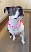 Load image into Gallery viewer, PERSONALIZED Pink Daisy Bead Collar