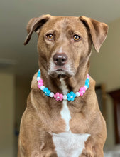 Load image into Gallery viewer, 🌼 Pink &amp; Blue Glow Daisies 🌼 Silicone Bead Collar