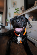 Load image into Gallery viewer, Orange Ombre Acrylic Bead Collar