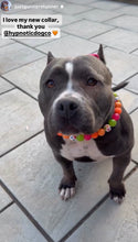 Load image into Gallery viewer, Groovy Daisies Bead Collar