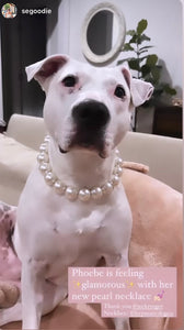 Chunky White Pearls Acrylic Bead Collar