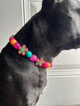 Load image into Gallery viewer, Retro Groovy 🌼 Bead Collar