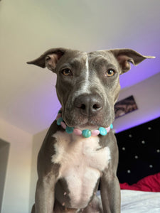 Bubblegum Waves Coin Bead Collar