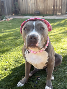 Pink Dream Bead Collar