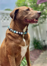Load image into Gallery viewer, Thunder Bay Acrylic Bead Collar