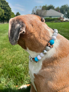 🏈 Football Team Colors Bead Collar