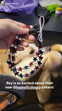Load image into Gallery viewer, Stars &amp; Pearls Bead Collar [Decorative Only]