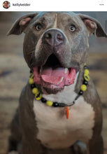 Load image into Gallery viewer, Batman Bead Collar