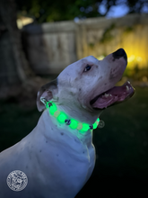 Load image into Gallery viewer, Blush &amp; Glow Skull ☠️ Acrylic Bead Collar