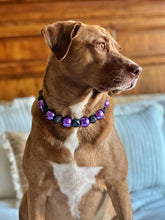 Load image into Gallery viewer, 🟧 17&quot; Slip On (Rainbow O-Ring)Chunky Mystic Purple Acrylic Bead Collar - PRE-MADE/FINAL SALE