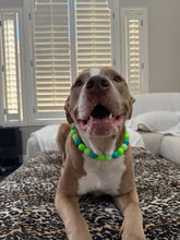 Load image into Gallery viewer, Neon Tropic Glow Acrylic Bead Collar