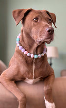 Load image into Gallery viewer, Mermaid Cove 🧜‍♀️ Bead Collar