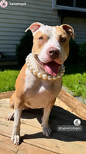 Load image into Gallery viewer, Chunky White Pearls Acrylic Bead Collar