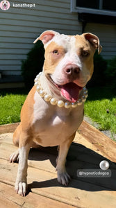 Chunky White Pearls Acrylic Bead Collar