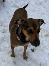 Load image into Gallery viewer, Midnight Cosmos Acrylic Bead Collar