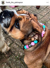 Load image into Gallery viewer, Cotton Candy Skull Bead Collar