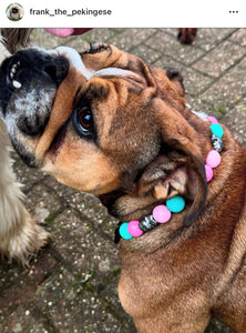 Cotton Candy Skull Bead Collar