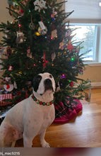 Load image into Gallery viewer, Grinchmas 🎄 Bead Collar