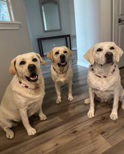 Load image into Gallery viewer, Peppermint Swirl Bead Collar