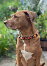 Load image into Gallery viewer, PERSONALIZED Pumpkin Spice Halloween Bead Collar