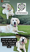 Load image into Gallery viewer, Midnight Cauldron Halloween Glow Bead Collar