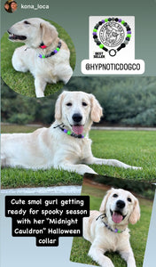 Midnight Cauldron Halloween Glow Bead Collar