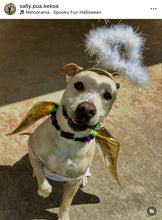 Load image into Gallery viewer, Monster Bash Bead Collar