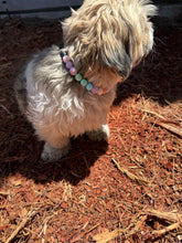 Load image into Gallery viewer, Pastel Stars MINI Acrylic [Small Dog/Cat Bead Collar]