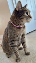 Load image into Gallery viewer, XS Orchid Purple Acrylic [Small Dog/Cat Bead Collar]
