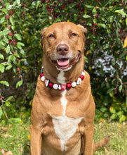 Load image into Gallery viewer, Santa Claus Bead Collar