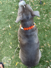 Load image into Gallery viewer, PERSONALIZED Orange Boo 👻 Bead Collar
