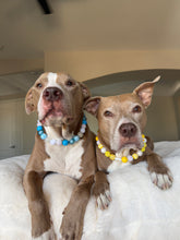 Load image into Gallery viewer, Bluebell Bead Collar