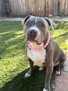 Pink Dream Bead Collar