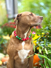 Load image into Gallery viewer, Mistletoe Glam Bead Collar