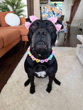 Load image into Gallery viewer, PERSONALIZED Candy Sweetheart Bead Collar