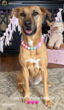 Load image into Gallery viewer, Cupcake Glitz Bead Collar