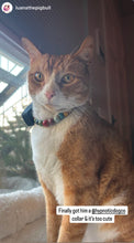 Load image into Gallery viewer, XS Rainbow Ceramic [Small Dog/Cat Bead Collar]