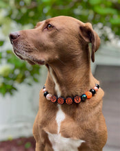 Load image into Gallery viewer, PERSONALIZED Pumpkin Spice Halloween Bead Collar